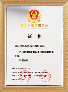榮譽(yù)證書(shū)