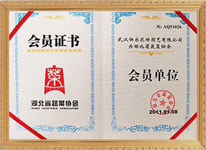 榮譽(yù)資質(zhì)